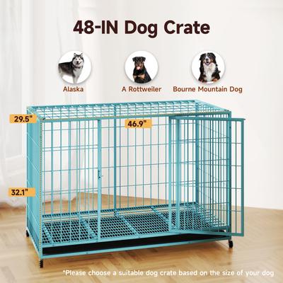 Show full view: Xbrigh Double-Door Lockable Wire Pet Dog Crate, Blue, Large: 42 inch slide 3 of 5
