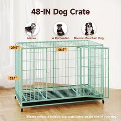 Xbrigh Double-Door Lockable Wire Pet Dog Crate, Green, Large: 42 inch slide 2 of 5