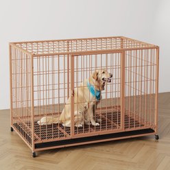 Xbrigh Double-Door Lockable Wire Pet Dog Crate, Orange, Large: 42 inch slide 1 of 5