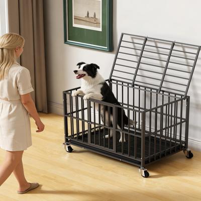Show full view: Xbrigh Double-Door Dog Crate, Black, 38 inch slide 7 of 9