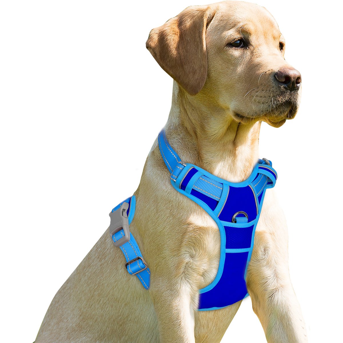 BARKBAY Front Clip Reflective No Pull Dog Harness, Sapphire Blue & Blue, Large: 24.5 to 32.5-in chest