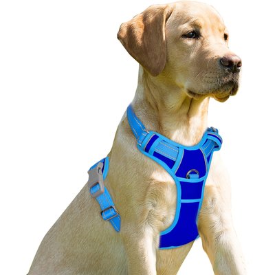 BARKBAY BARKBAY Front Clip Reflective No Pull Dog Harness, Sapphire Blue & Blue, Large: 24.5 to 32.5-in chest