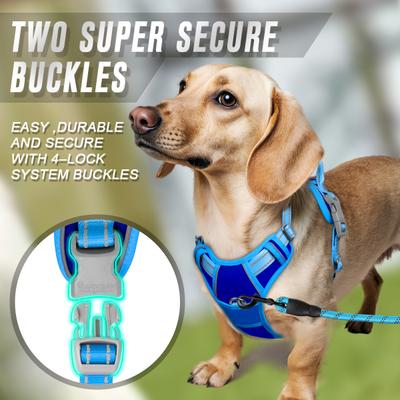 Show full view: BARKBAY Front Clip Reflective No Pull Dog Harness, Sapphire Blue & Blue, Small: 19.5 to 26-in chest slide 5 of 12
