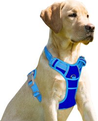 BARKBAY Front Clip Reflective No Pull Dog Harness, Sapphire Blue & Blue, Small: 19.5 to 26-in chest