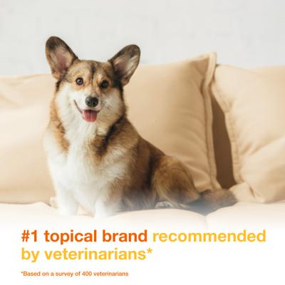 Show full view: Douxo S3 PYO Antiseptic Antifungal Chlorhexidine Dog Mousse, 5.1-oz bottle slide 4 of 11