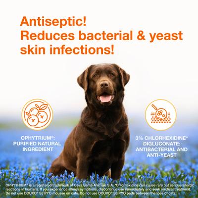 Show full view: Douxo S3 PYO Antiseptic Antifungal Chlorhexidine Dog Mousse, 5.1-oz bottle slide 3 of 11