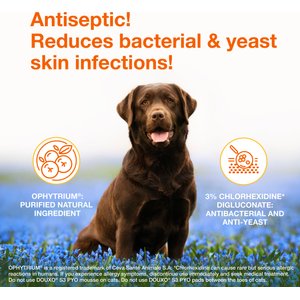 Douxo S3 PYO Antiseptic Antifungal Chlorhexidine Dog & Cat Shampoo, 16.9-oz bottle