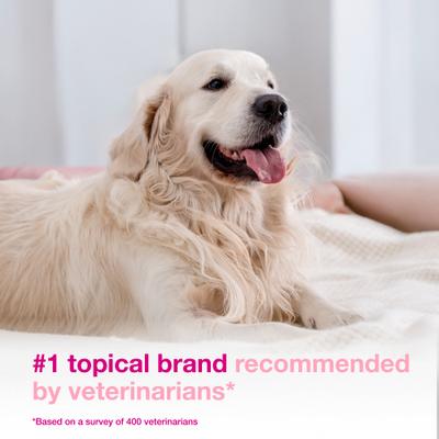 Show full view: Douxo S3 CALM Soothing Itchy, Hydrated Skin Dog & Cat Mousse, 5.1-fl oz bottle slide 4 of 11