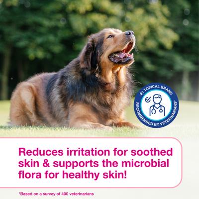 Show full view: Douxo S3 CALM Soothing Itchy, Hydrated Skin Dog & Cat Shampoo, 6.7-fl oz bottle slide 8 of 11