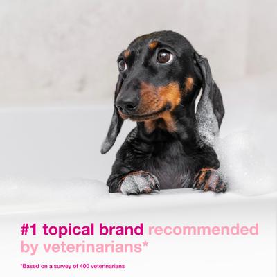 Show full view: Douxo S3 CALM Soothing Itchy, Hydrated Skin Dog & Cat Shampoo, 6.7-fl oz bottle slide 4 of 11