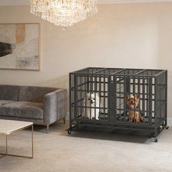 Xbrigh Three-Door Dual-Compartment Dog Crate, Black, Large: 48 inch