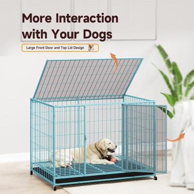 Show full view: Xbrigh Double-Door Lockable Wire Pet Dog Crate, Blue, Large: 42 inch slide 2 of 5