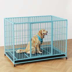 Xbrigh Double-Door Lockable Wire Pet Dog Crate, Blue, Large: 42 inch slide 1 of 5