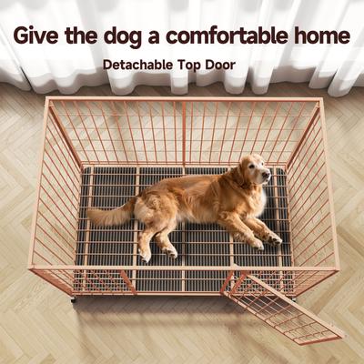Show full view: Xbrigh Double-Door Lockable Wire Pet Dog Crate, Orange, Large: 42 inch slide 5 of 5
