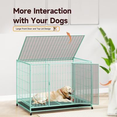 Show full view: Xbrigh Double-Door Lockable Wire Pet Dog Crate, Green, Large: 42 inch slide 2 of 5
