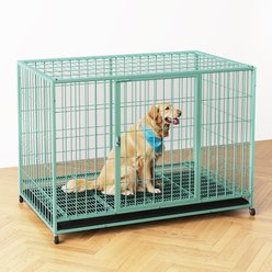 Xbrigh Double-Door Lockable Wire Pet Dog Crate, Green, Large: 42 inch