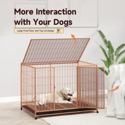 Show full view: Xbrigh Double-Door Lockable Wire Pet Dog Crate, Orange, Large: 42 inch slide 2 of 5