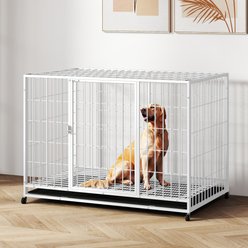 Xbrigh Double-Door Lockable Wire Pet Dog Crate, White, Large: 42 inch