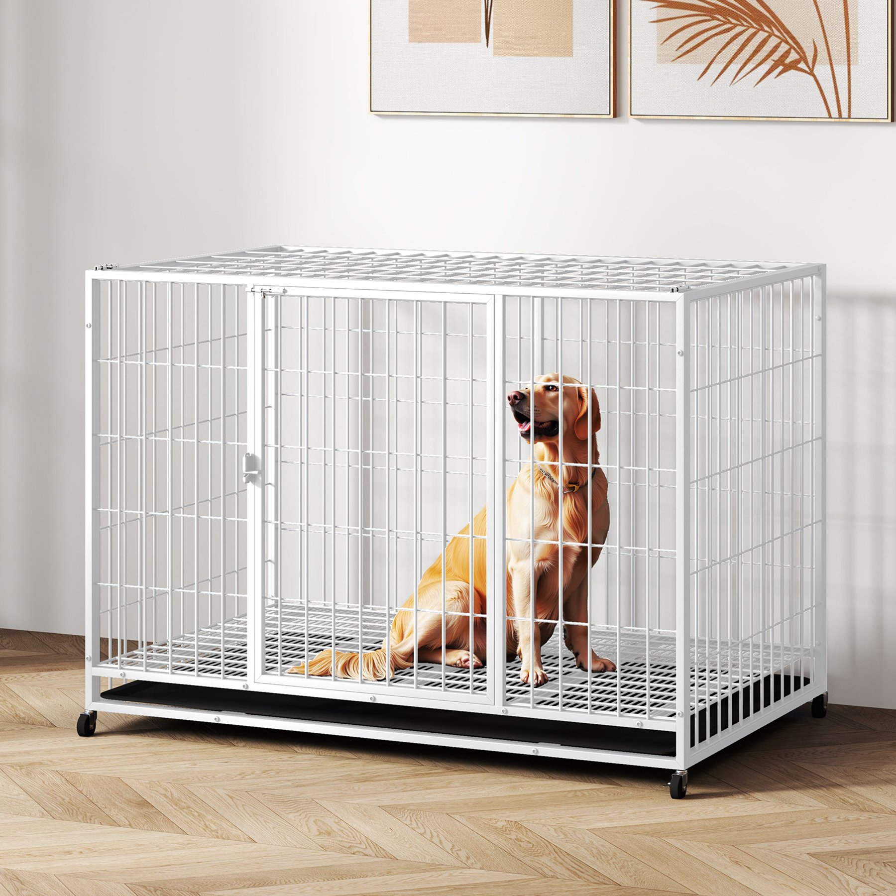 Xbrigh Double-Door Lockable Wire Pet Dog Crate, White, Large: 42 inch