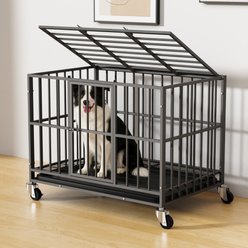 Xbrigh Double-Door Dog Crate, Black, 38 inch
