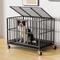 Show in main carousel: Xbrigh Double-Door Dog Crate, Black, 38 inch slide 1 of 9