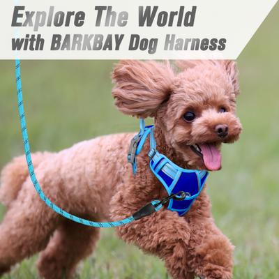 Show full view: BARKBAY Front Clip Reflective No Pull Dog Harness, Sapphire Blue & Blue, Small: 19.5 to 26-in chest slide 9 of 12