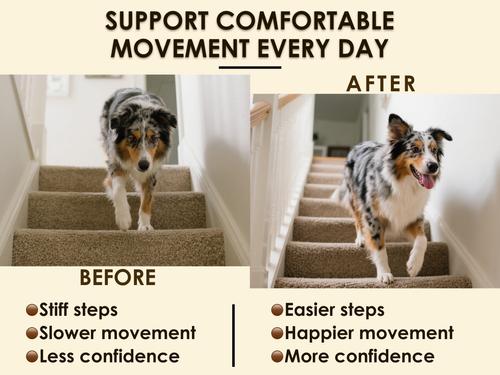 Show full view: Deluxe Naturals Chicken & Bacon Flavored Soft Chew Hip & Joint Support Supplement for Dogs, 90 count slide 7 of 12