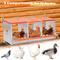 Show in main carousel: Yafylly 3-Bay Wall-Mounted Egg Laying Galvanized Steel Chicken & Duck Nesting Box, Orange, Small slide 2 of 7