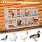 Show in main carousel: Yafylly 8-Bay Wall-Mounted Egg Laying Galvanized Steel Chicken & Duck Nesting Box, Orange, Large slide 2 of 7