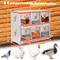 Show in main carousel: Yafylly 6-Bay Wall-Mounted Egg Laying Galvanized Steel Chicken & Duck Nesting Box, Orange, Large slide 2 of 7