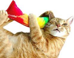 Dr. Pussums Wicked Kick- Ah Nip Kicker Chasers Cat Toy with Catnip, Tie Dye slide 2 of 3