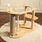 Show in main carousel: Fairela Modern 22.8-in Hemp Cat Tree with Clear Bowl Bed & Scratching Posts, Beige slide 2 of 9