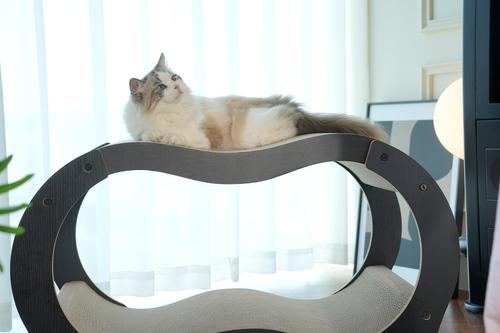 Show full view: Fairela Double Curved Cardboard 19.5-in Recycled Materials Cat Scratching Bed, Brown slide 3 of 8