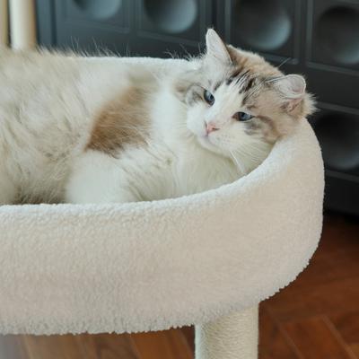 Show full view: Fairela 24-in Fleece Cat Scratching Stand with Dual Posts, Plush Woven Perch & Interactive Ball Toy, White/Beige slide 7 of 9