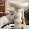 Show in main carousel: Fairela Tall 24-in Fleece Cat Scratching Post with Padded Perch Bed, White/Black slide 6 of 9