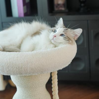 Show full view: Fairela Tall 24-in Fleece Cat Scratching Post with Padded Perch Bed, White/Black slide 4 of 9