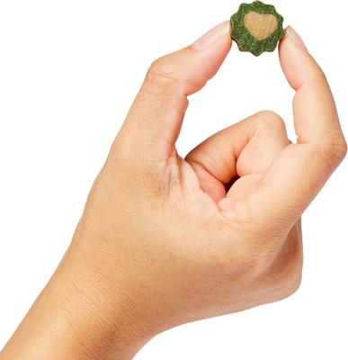 Show full view: Every Day Naturals Soft No Brush Toothpaste Small Dental Dog Treats, 10-oz bag slide 5 of 6