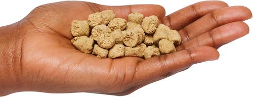 Show full view: Primal Kibble in the Raw Non-GMO Chicken Recipe Freeze-Dried Cat Food, 24-oz bag slide 4 of 4