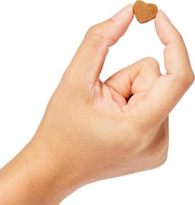 Show full view: Every Day Naturals No Brush Bursts Cool Peppermint Bites Dental Dog Treats, 4-oz bag slide 5 of 6