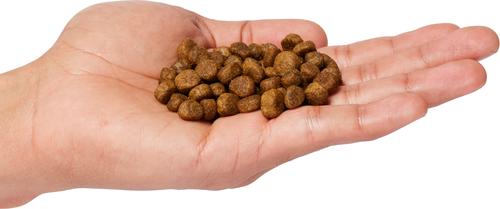 Show full view: Stewart Raw Coated Salmon Limited-Ingredient Puppy Freeze-Dried Dog Food, 4-lb bag slide 5 of 7