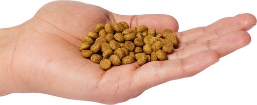 Show full view: Nature's HUG Non-GMO Grain-Free Senior Supports Vitality Senior Dry Cat Food, 4-lb bag slide 4 of 4