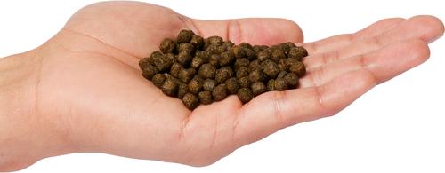 Show full view: Canine Caviar Chicken & Whole Ground Oats Limited Ingredient Dry Dog Food, 4.4-lb bag slide 4 of 5