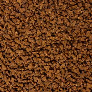 Totally Ferret Active, Show & Pet High Protein Dry Ferret Food, 15-lb bag
