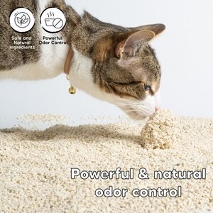 SOYSAND Tofu Unscented Clumping Cat Litter, 10-lb box