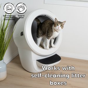 SOYSAND Tofu Unscented Clumping Cat Litter, 10-lb box
