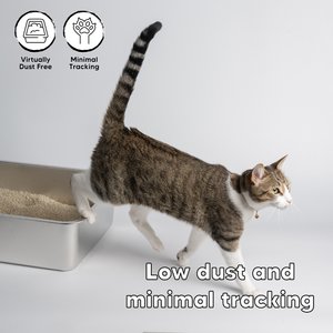 SOYSAND Tofu Unscented Clumping Cat Litter, 10-lb box
