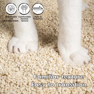 SOYSAND Tofu Unscented Clumping Cat Litter, 10-lb box