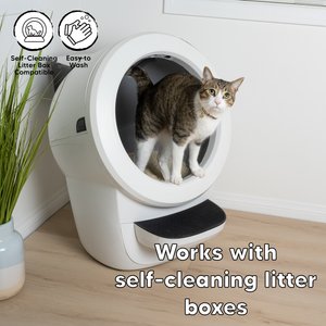 Petkinns SOYSAND Tofu Scented Clumping Cat Litter, 10-lb box