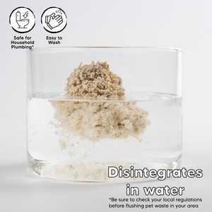 Petkinns SOYSAND Tofu Scented Clumping Cat Litter, 10-lb box