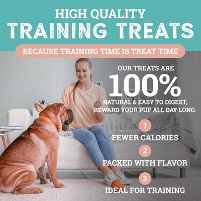 Show full view: Etta Says! Sit! Training Treats Smoked Salmon Recipe Dog Treats, 1-lb bag slide 5 of 9